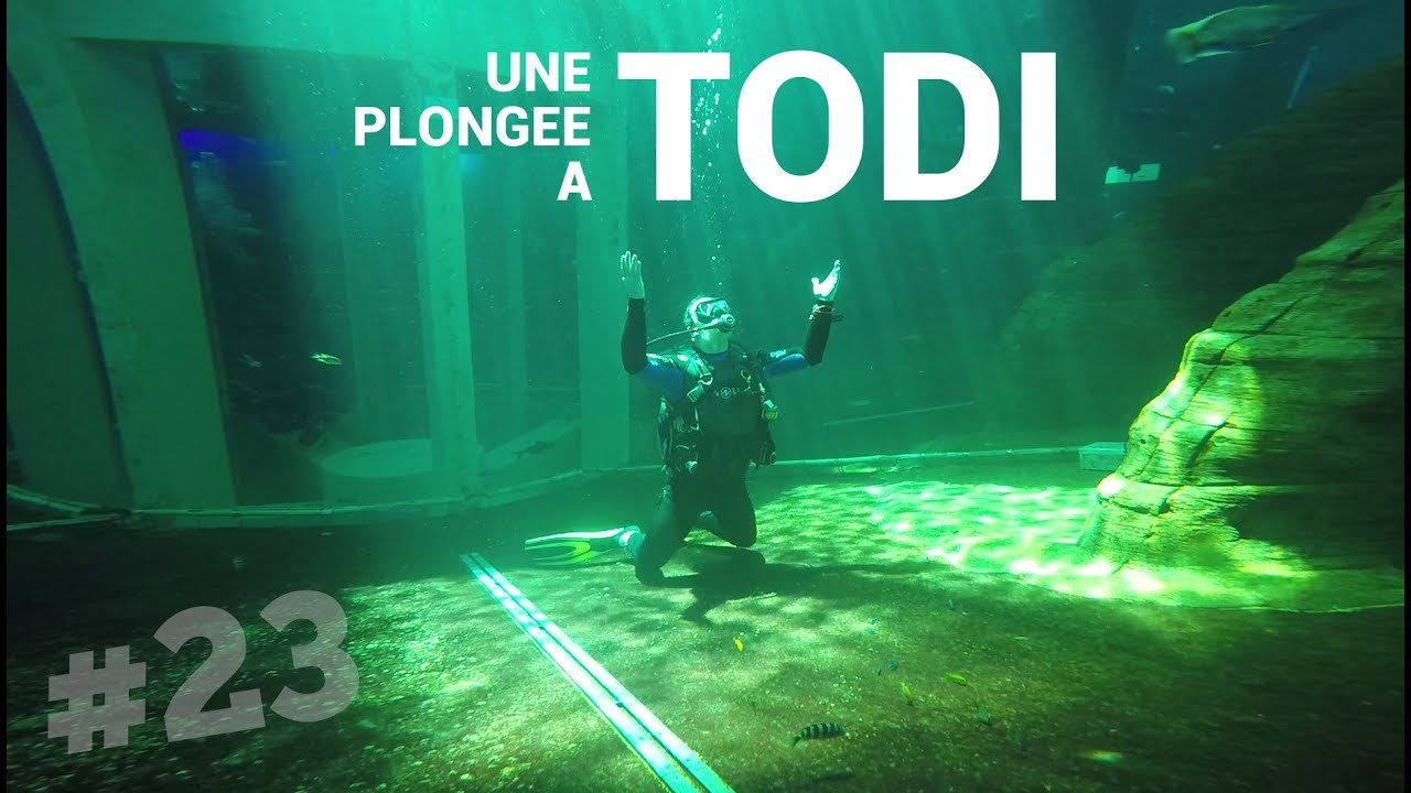 Image pour Du 3 et 4 février 2024, Belgique à TODI et NEMO 33